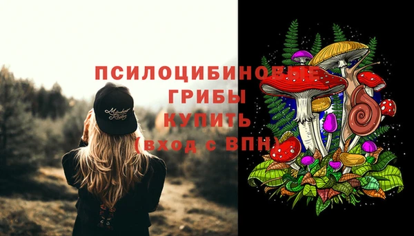 дурь Алексин