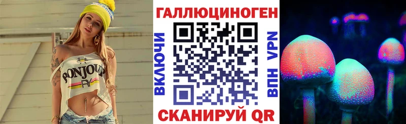 купить наркоту  Наволоки  shop клад  Псилоцибиновые грибы Psilocybe 