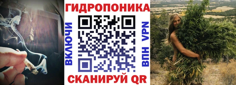 дарнет шоп Наволоки Канабис OG Kush